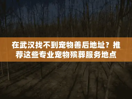 在武汉找不到宠物善后地址？推荐这些专业宠物殡葬服务地点