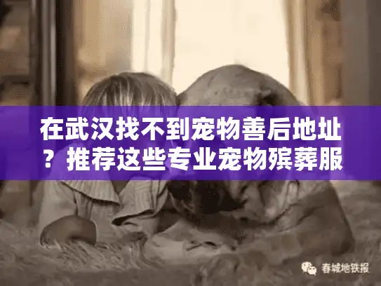 在武汉找不到宠物善后地址？推荐这些专业宠物殡葬服务地点