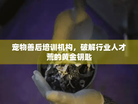 宠物善后培训机构，破解行业人才荒的黄金钥匙