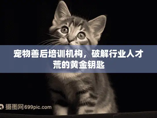 宠物善后培训机构，破解行业人才荒的黄金钥匙