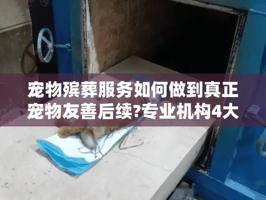 宠物殡葬服务如何做到真正宠物友善后续?专业机构4大关怀细节解析