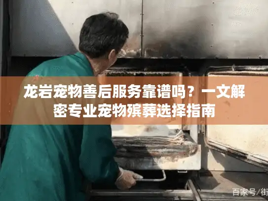龙岩宠物善后服务靠谱吗？一文解密专业宠物殡葬选择指南