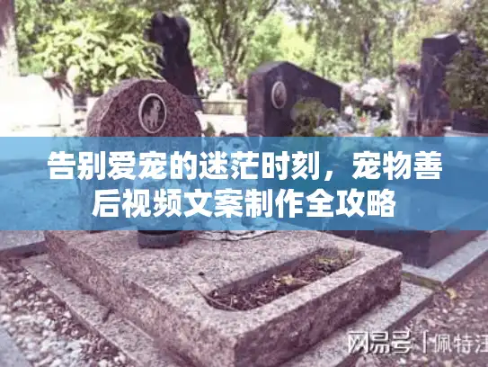 告别爱宠的迷茫时刻，宠物善后视频文案制作全攻略