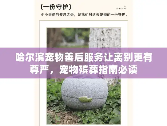 哈尔滨宠物善后服务让离别更有尊严，宠物殡葬指南必读