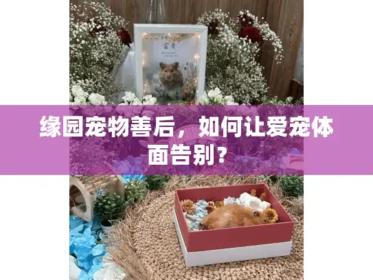 缘园宠物善后，如何让爱宠体面告别？