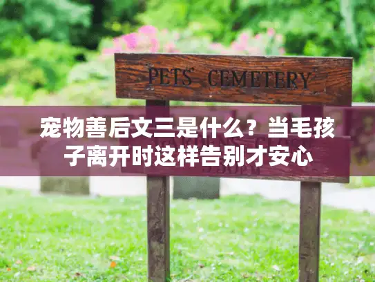 宠物善后文三是什么？当毛孩子离开时这样告别才安心