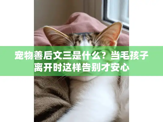 宠物善后文三是什么？当毛孩子离开时这样告别才安心