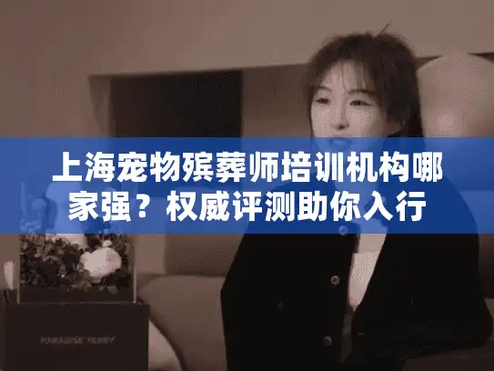 上海宠物殡葬师培训机构哪家强？权威评测助你入行