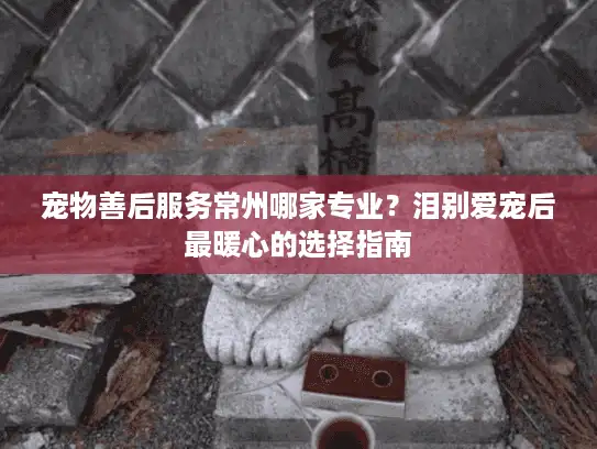 宠物善后服务常州哪家专业？泪别爱宠后最暖心的选择指南