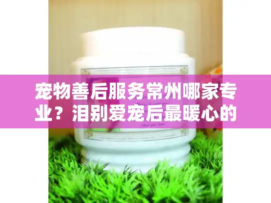 宠物善后服务常州哪家专业？泪别爱宠后最暖心的选择指南