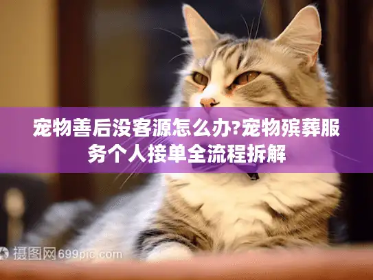 宠物善后没客源怎么办?宠物殡葬服务个人接单全流程拆解