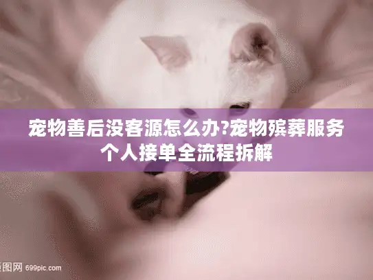 宠物善后没客源怎么办?宠物殡葬服务个人接单全流程拆解
