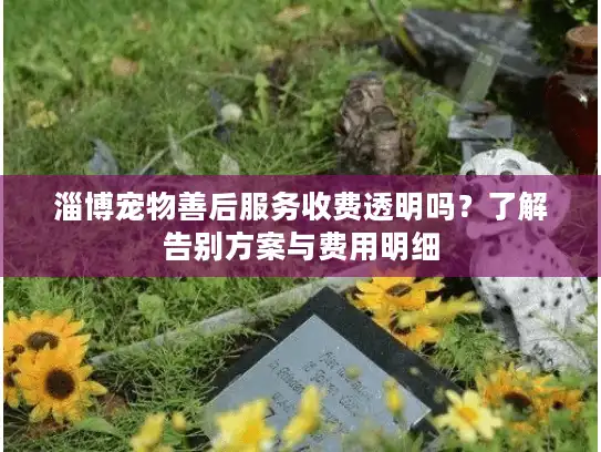 淄博宠物善后服务收费透明吗？了解告别方案与费用明细