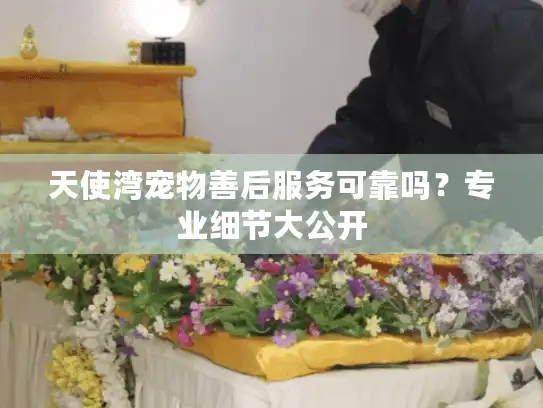 天使湾宠物善后服务可靠吗？专业细节大公开
