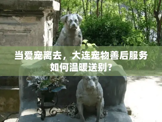 当爱宠离去，大连宠物善后服务如何温暖送别？