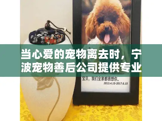 当心爱的宠物离去时，宁波宠物善后公司提供专业宠物殡葬服务