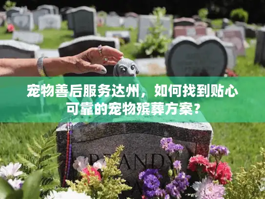 宠物善后服务达州，如何找到贴心可靠的宠物殡葬方案？
