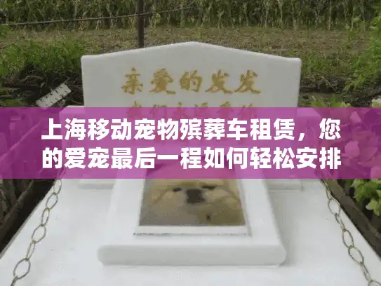 上海移动宠物殡葬车租赁，您的爱宠最后一程如何轻松安排？