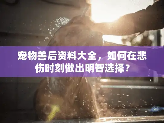 宠物善后资料大全，如何在悲伤时刻做出明智选择？