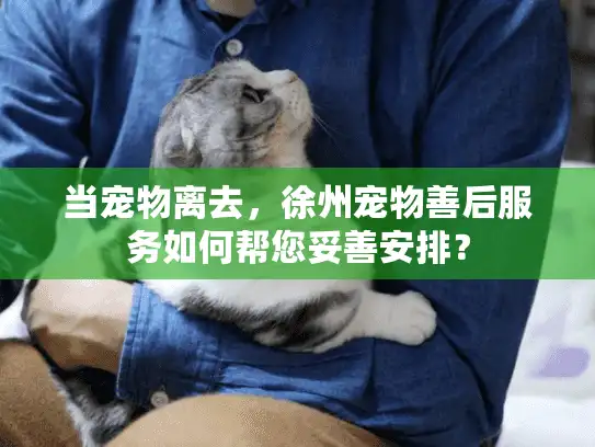 当宠物离去，徐州宠物善后服务如何帮您妥善安排？