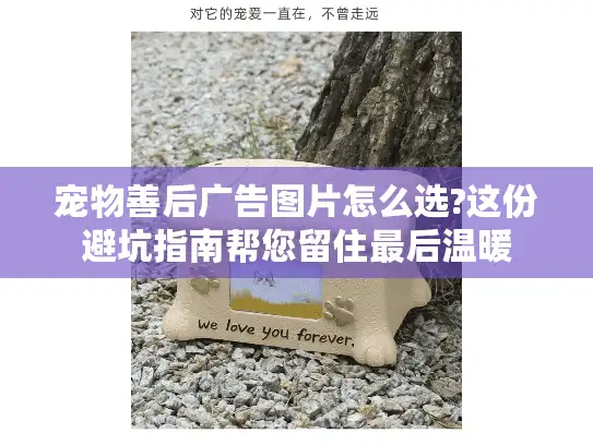 宠物善后广告图片怎么选?这份避坑指南帮您留住最后温暖