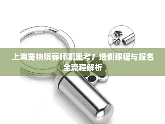上海宠物殡葬师哪里考？培训课程与报名全流程解析