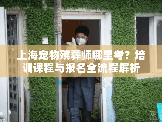 上海宠物殡葬师哪里考？培训课程与报名全流程解析
