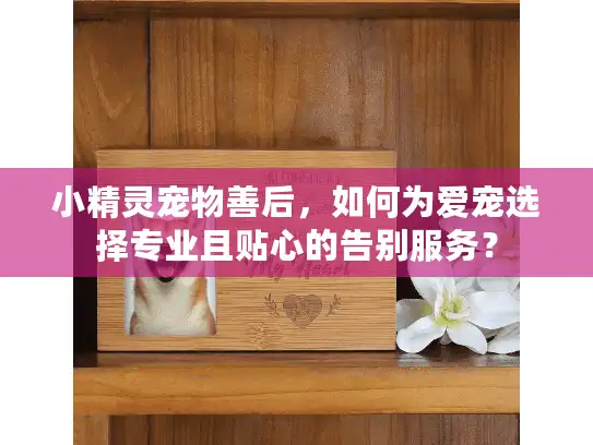小精灵宠物善后，如何为爱宠选择专业且贴心的告别服务？