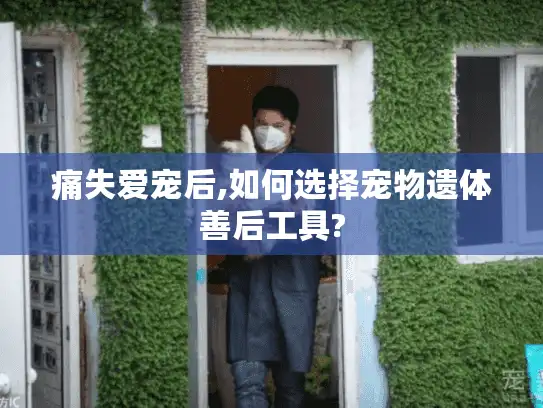 痛失爱宠后,如何选择宠物遗体善后工具?
