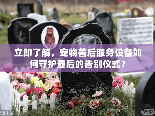立即了解，宠物善后服务设备如何守护最后的告别仪式？