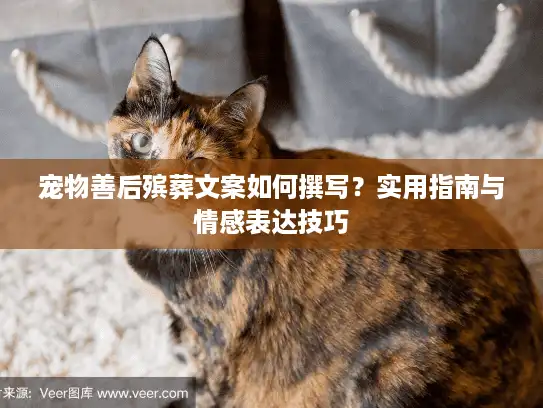 宠物善后殡葬文案如何撰写？实用指南与情感表达技巧