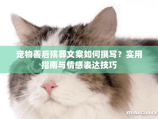 宠物善后殡葬文案如何撰写？实用指南与情感表达技巧