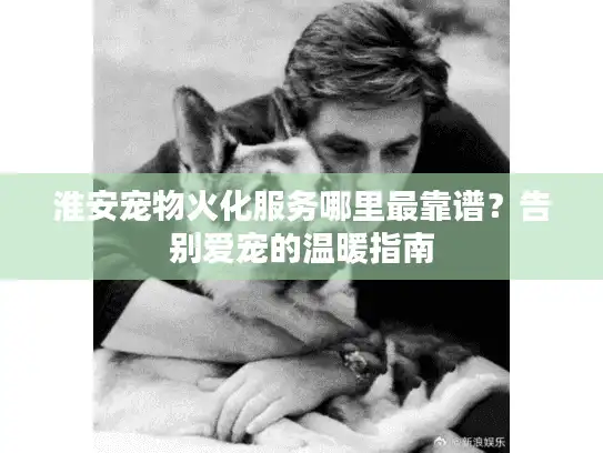 淮安宠物火化服务哪里最靠谱？告别爱宠的温暖指南