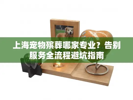 上海宠物殡葬哪家专业？告别服务全流程避坑指南