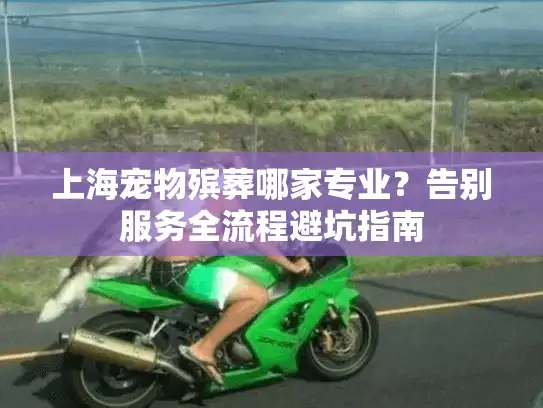 上海宠物殡葬哪家专业？告别服务全流程避坑指南