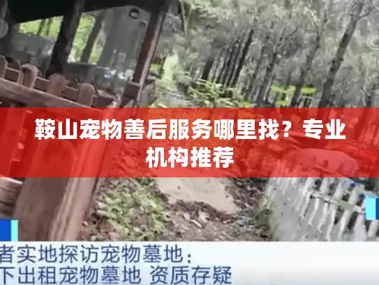 鞍山宠物善后服务哪里找？专业机构推荐