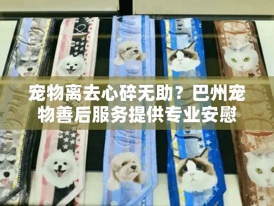 宠物离去心碎无助？巴州宠物善后服务提供专业安慰