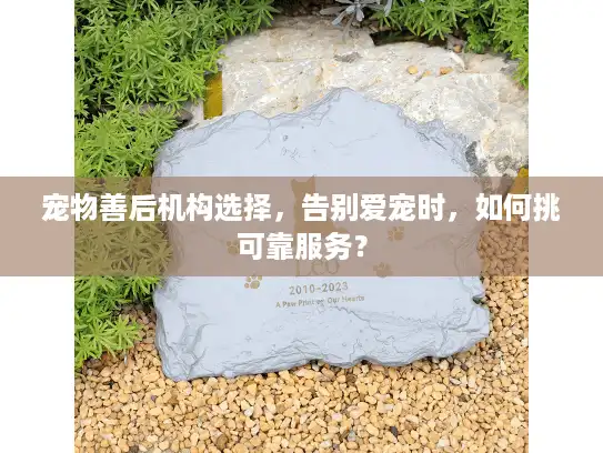 宠物善后机构选择，告别爱宠时，如何挑可靠服务？