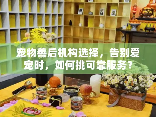 宠物善后机构选择，告别爱宠时，如何挑可靠服务？