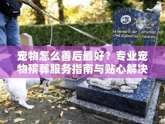 宠物怎么善后最好？专业宠物殡葬服务指南与贴心解决方案