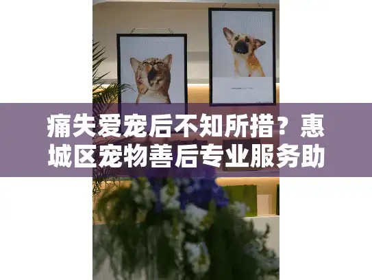 痛失爱宠后不知所措？惠城区宠物善后专业服务助你安心告别