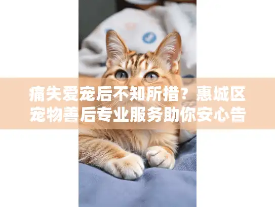 痛失爱宠后不知所措？惠城区宠物善后专业服务助你安心告别