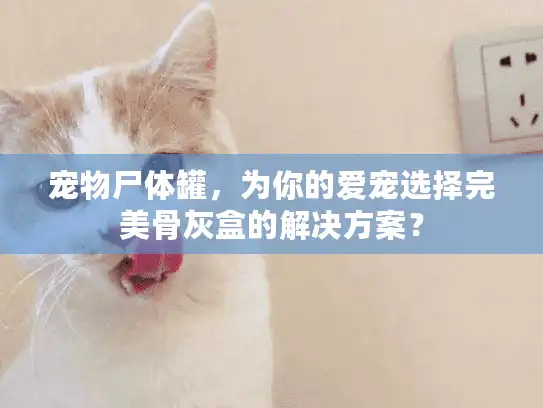 宠物尸体罐，为你的爱宠选择完美骨灰盒的解决方案？