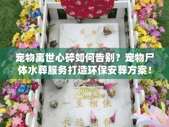 宠物离世心碎如何告别？宠物尸体水葬服务打造环保安葬方案！