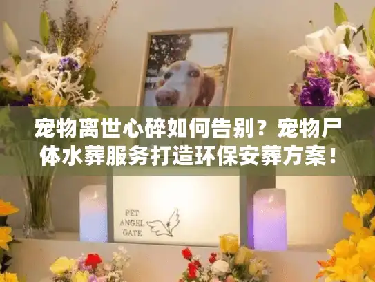 宠物离世心碎如何告别？宠物尸体水葬服务打造环保安葬方案！