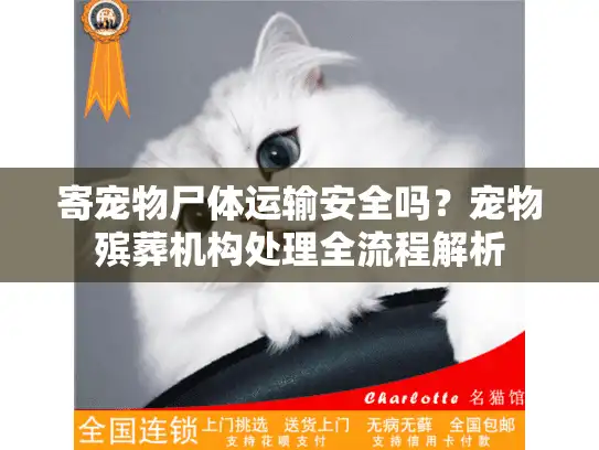 寄宠物尸体运输安全吗？宠物殡葬机构处理全流程解析