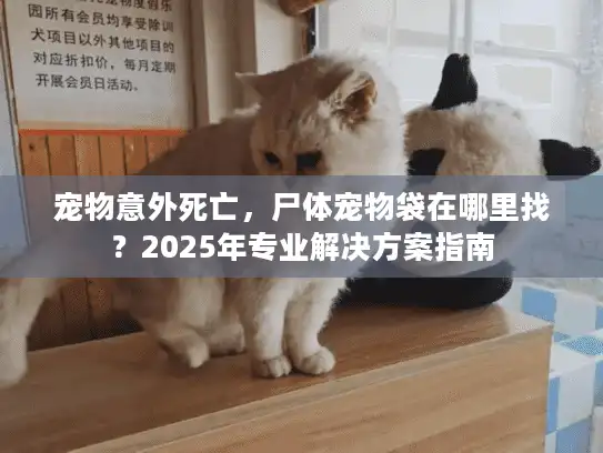 宠物意外死亡，尸体宠物袋在哪里找？2025年专业解决方案指南