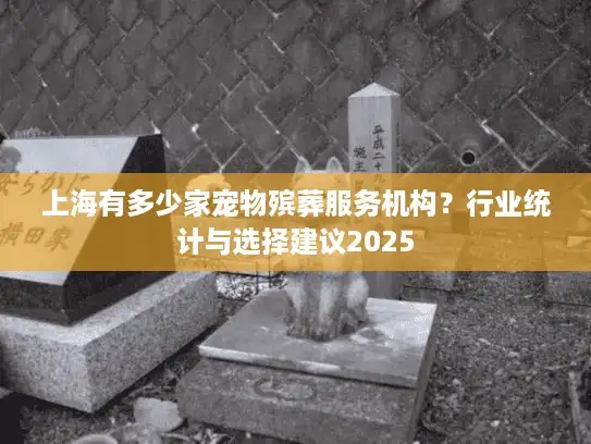 上海有多少家宠物殡葬服务机构？行业统计与选择建议2025