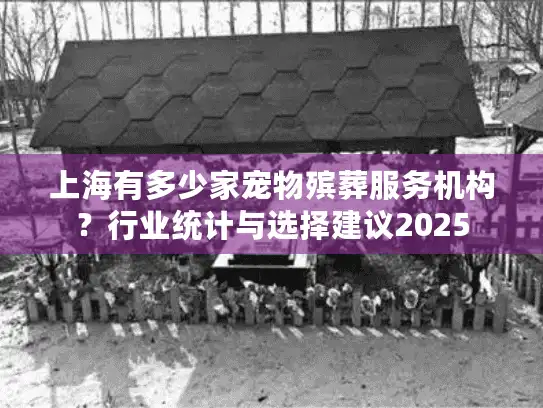 上海有多少家宠物殡葬服务机构？行业统计与选择建议2025