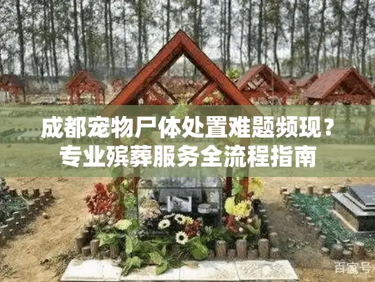 成都宠物尸体处置难题频现？专业殡葬服务全流程指南